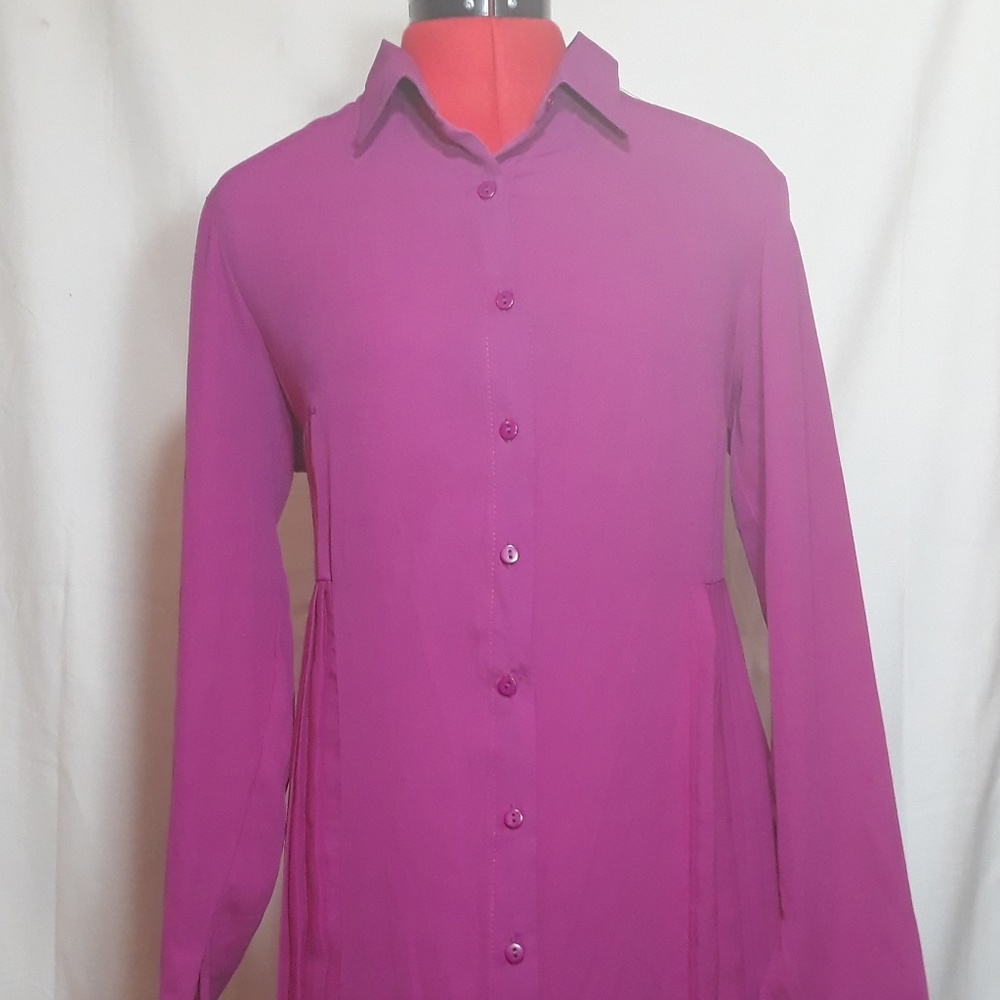 Refka Sheer Pleated Button Down Dress Size 12